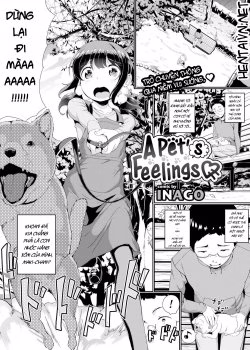 A Pet’s Feelings